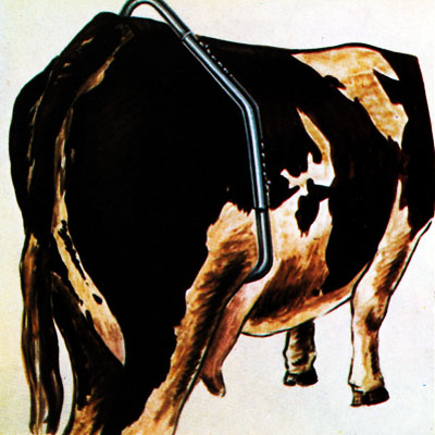 Trava Vacas