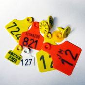 Identificación para Ganado